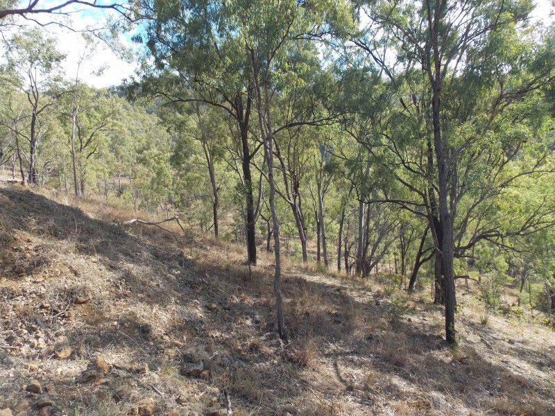 60-140 Wensley Rd, Mount Mort QLD 4340