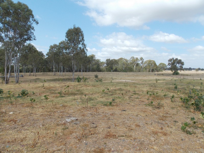 71 O’connell Rd, Thagoona QLD 4306