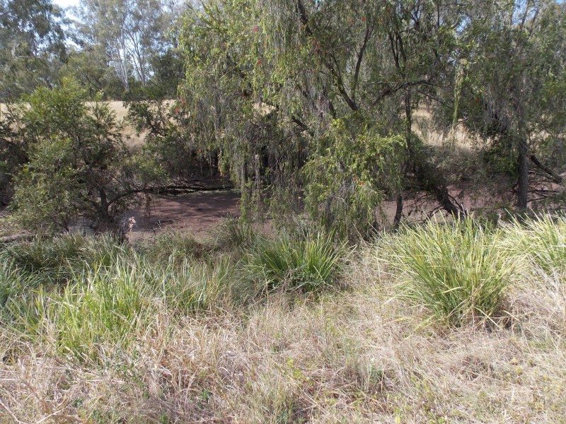 71 O’connell Rd, Thagoona QLD 4306