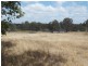Lower Mount Walker QLD 4340