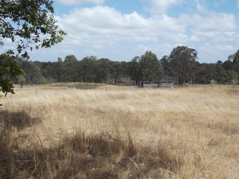 Lower Mount Walker QLD 4340
