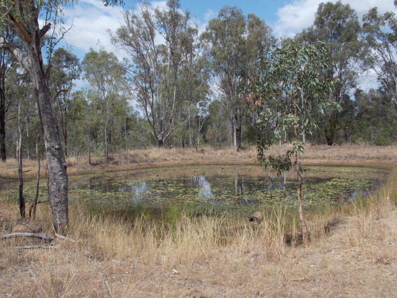 Lower Mount Walker QLD 4340