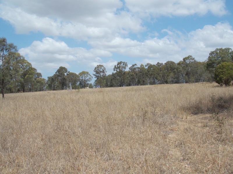 Lower Mount Walker QLD 4340