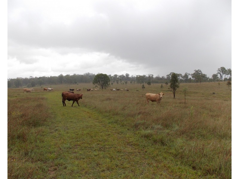1442 Mt Walker West Rd, Merryvale QLD 4340