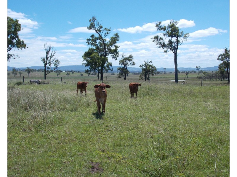 243 Christensen Rd, Mount Walker QLD 4340