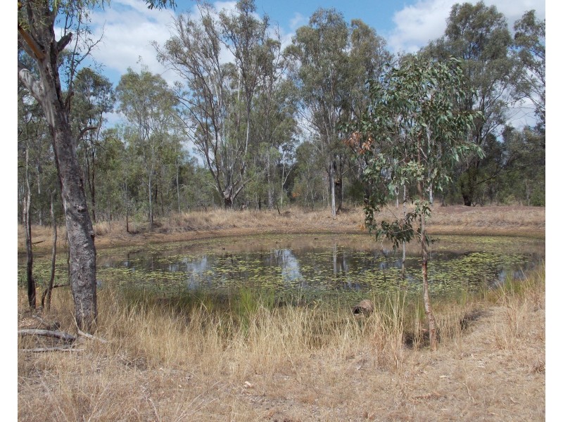 100 Grants Rd, Lower Mount Walker QLD 4340