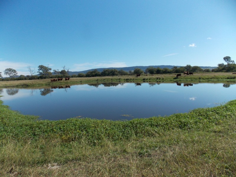 229 Reillys Road, Lanefield QLD 4340