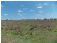 199 Mt Forbes School Rd, Mount Forbes QLD 4340