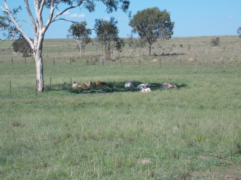 13 Ferling Rd, Calvert QLD 4340