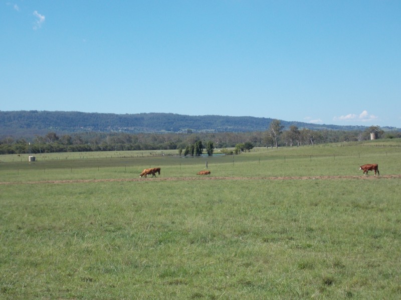 13 Ferling Rd, Calvert QLD 4340