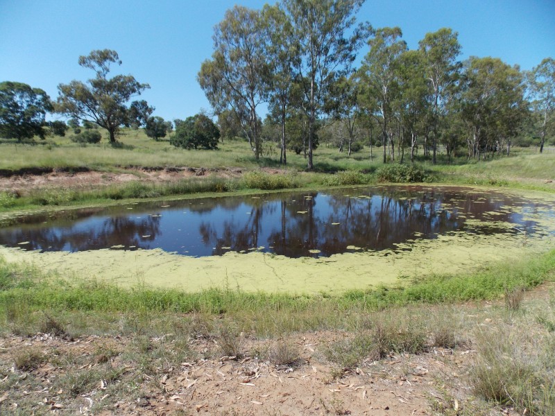 363 – 399 Tallegalla Road, Tallegalla QLD 4340