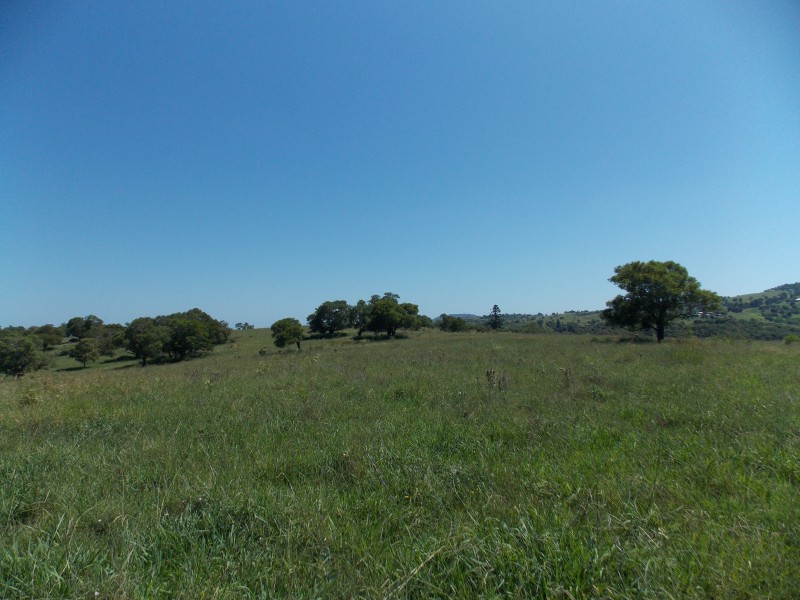 363 – 399 Tallegalla Road, Tallegalla QLD 4340