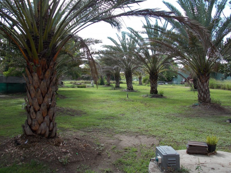 53-55 Thagoona Haigslea Rd, Thagoona QLD 4306