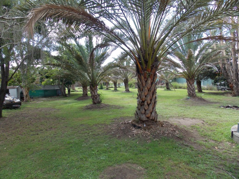 53-55 Thagoona Haigslea Rd, Thagoona QLD 4306