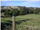 Nyora VIC 3987