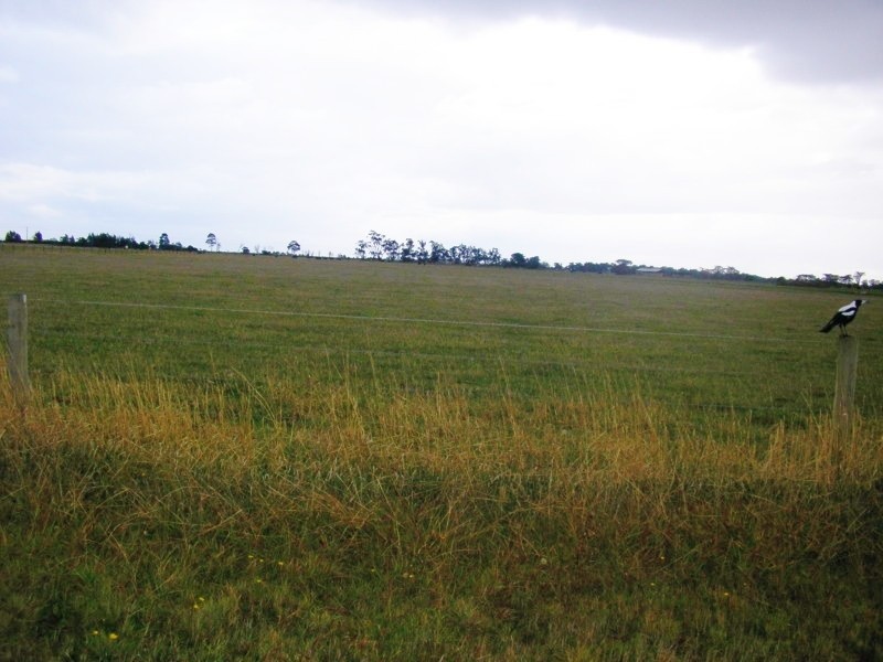 Koo Wee Rup VIC 3981
