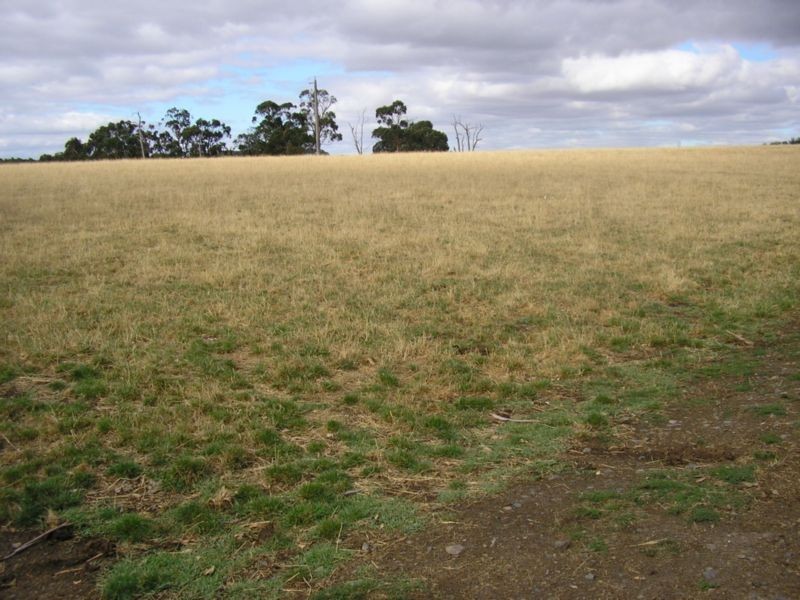 Nyora VIC 3987