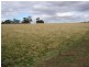 Nyora VIC 3987
