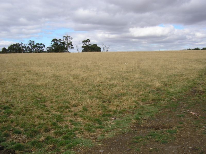 Nyora VIC 3987