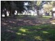 Koo Wee Rup VIC 3981