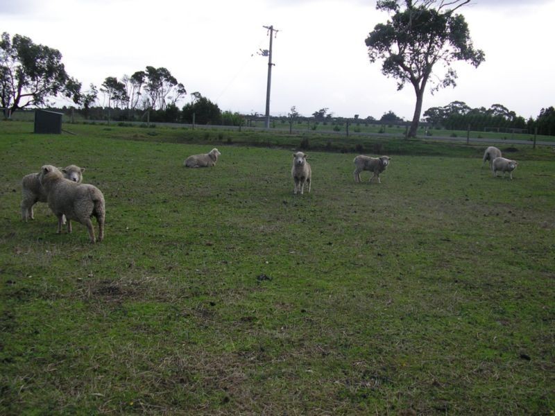 Koo Wee Rup VIC 3981