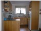 Catani VIC 3981