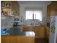 Catani VIC 3981