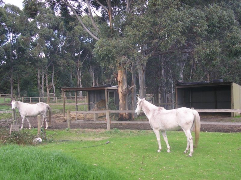 Koo Wee Rup VIC 3981