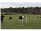 Heath Hill VIC 3981