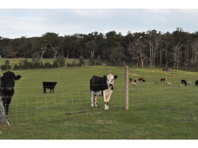 Heath Hill VIC 3981