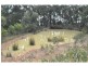 19 Forrest Road, Nyora VIC 3987