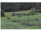 85 Forrest Road, Nyora VIC 3987