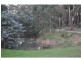 120 Cherry Tree Road, Nyora VIC 3987
