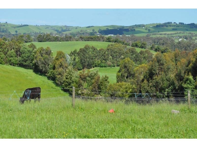175 Henrys Road, Nyora VIC 3987