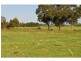 205 O’Briens Road, Bayles VIC 3981