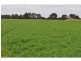 160 Number Seven Drain Road, Bayles VIC 3981