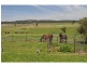 380 Camms Road, Lang Lang VIC 3984