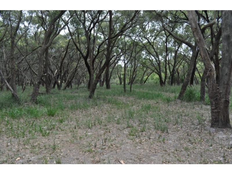 160 Cherry Tree Road, Nyora VIC 3987