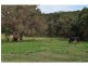 37 Leslie Close, Nyora VIC 3987