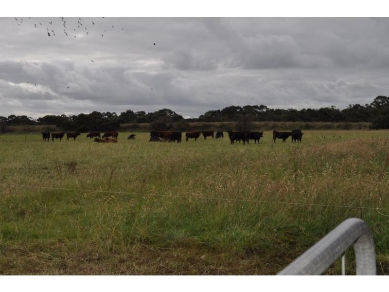 31 Fincks Road, Bayles VIC 3981