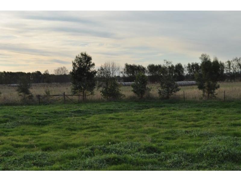 115 Prestons Road, Koo Wee Rup VIC 3981