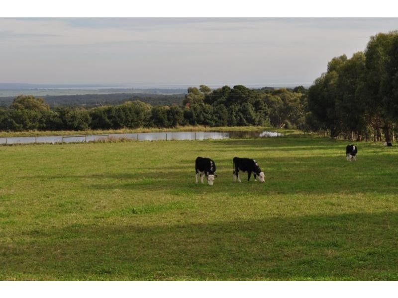 20 Forrest Drive, Nyora VIC 3987