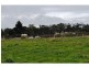 230 Milners Road, Lang Lang East VIC 3984