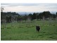730 Yannathan Road, Nyora VIC 3987