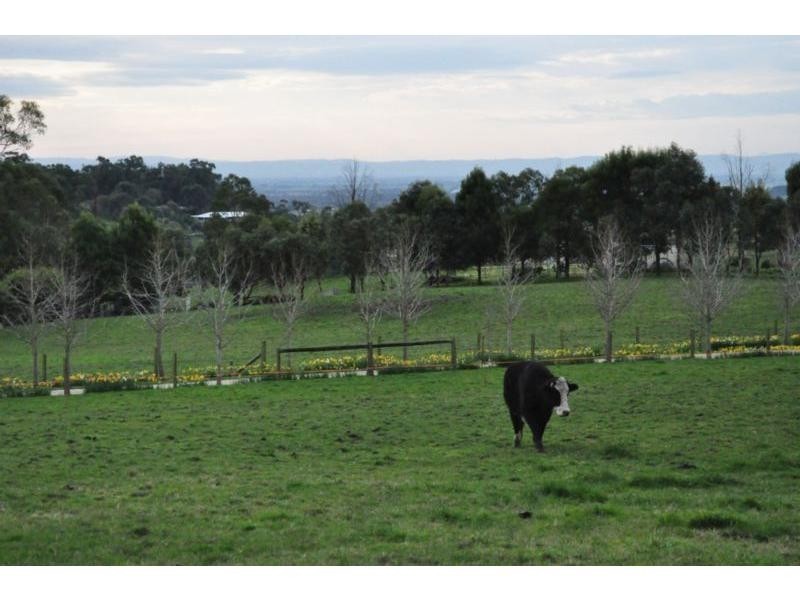 730 Yannathan Road, Nyora VIC 3987