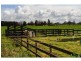 145 Daleys Road, Koo Wee Rup VIC 3981