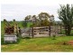 850 Mt. Lyall Road, Nyora VIC 3987
