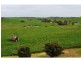 850 Mt. Lyall Road, Nyora VIC 3987
