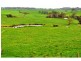 850 Mt. Lyall Road, Nyora VIC 3987