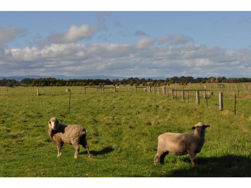 65 Daleys Road, Koo Wee Rup VIC 3981